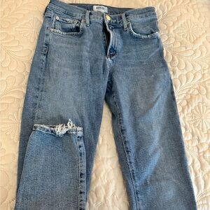 Agolde 90s Pinch Waist Straight